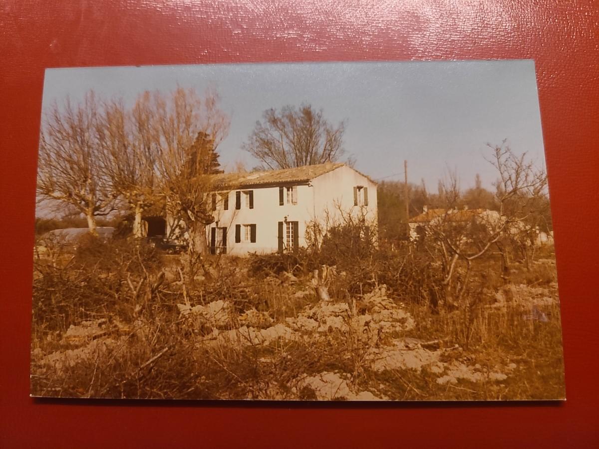 Photo historique du mas Le Jardin Provençal en 1981